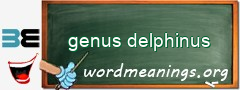 WordMeaning blackboard for genus delphinus
